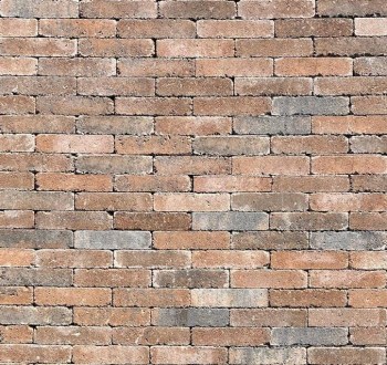 Geen afbeelding ingesteld 